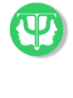 Terapia  occupazionale