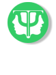 Terapia  occupazionale