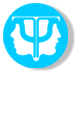 Metodo di  studio